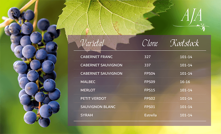A chart of AJA Vineyards' grape clones