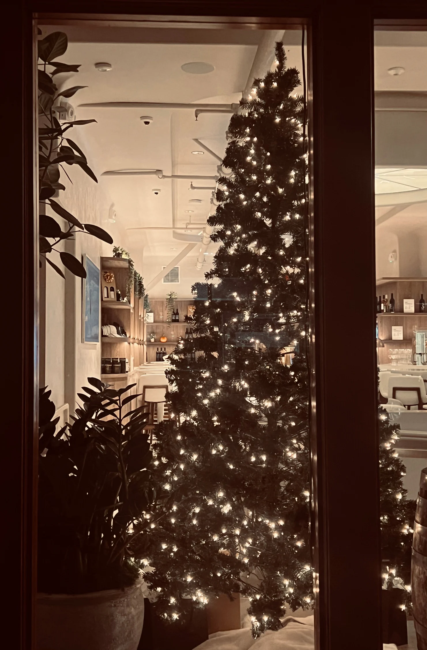 A lit Christmas tree glowing in the window of the AJA Santa Monica tasting room