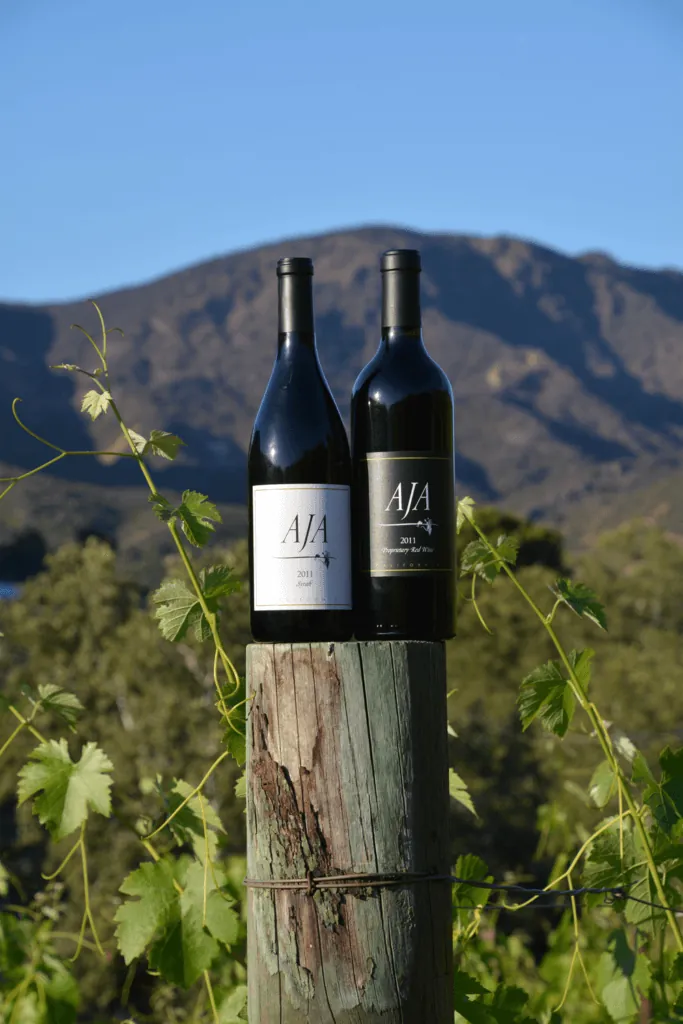 Two AJA red wines standing in the estate vineyard