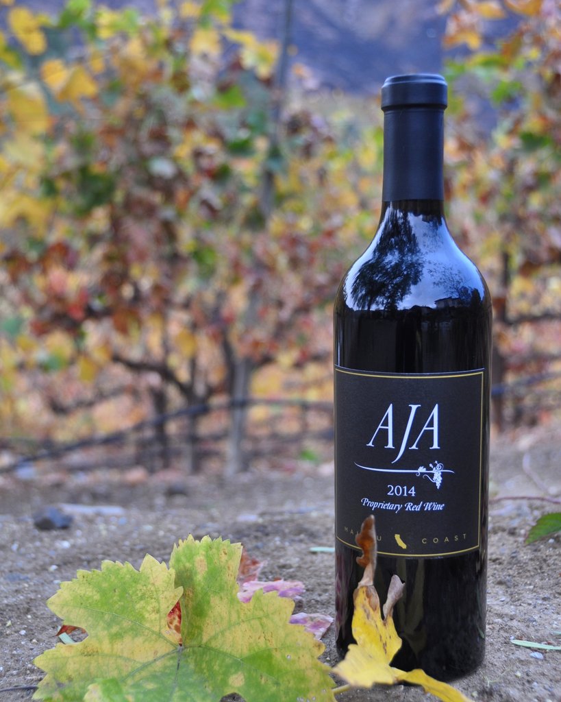 The Proprietor's Blog: Holidays are Approaching, Vines are Going Dormant